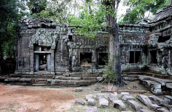 Kambodża | Dżungla wdzierająca się w mury Angkoru