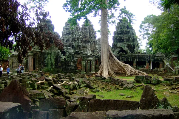 Kambodża | Potęga natury bywa zadziwiająca