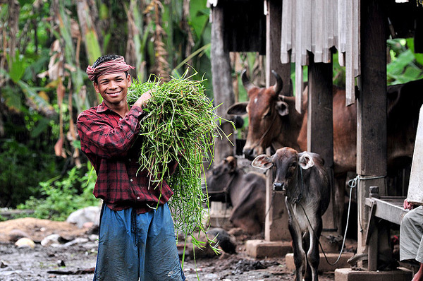 Kambodża | Cambodia Community Based Ecotourism Network (CCBEN), czyli ekoturystyka oparta na społecznościach lokalnych