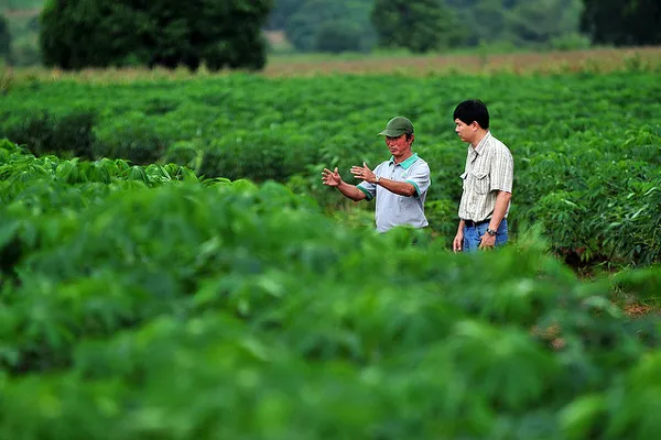 Kambodża | Coraz więcej turystów spędza urlop w sposób zaangażowany, świadomy i aktywny
