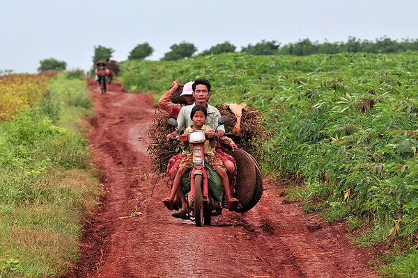 Kambodża | CCBN promuje lokalne źródła utrzymania i ochronę przyrody