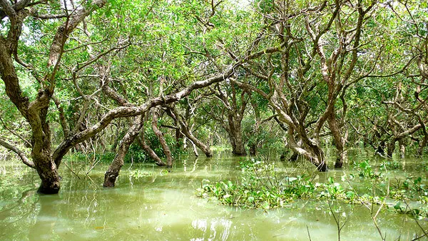 Kambodża | Tajemnicze zakamarki Jeziora Tonle Sap
