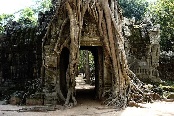 Kambodza | Ruiny Imperium Angkoru kryją jeszcze wiele tajemnic
