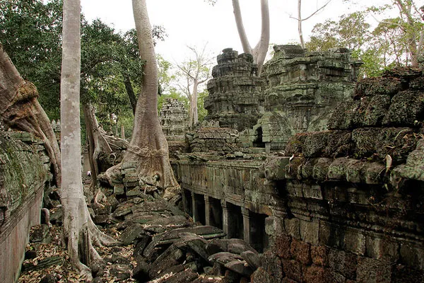 Kambodża | Klimatyczna i tajemnicza świątynia Ta Prohm
