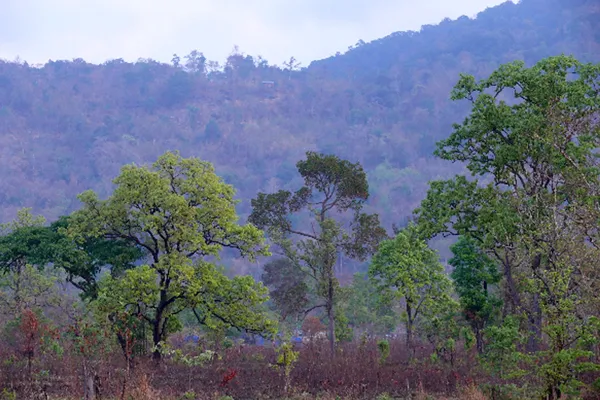 Kambodża | Malownicze krajobrazy prowincji Preah Vihear