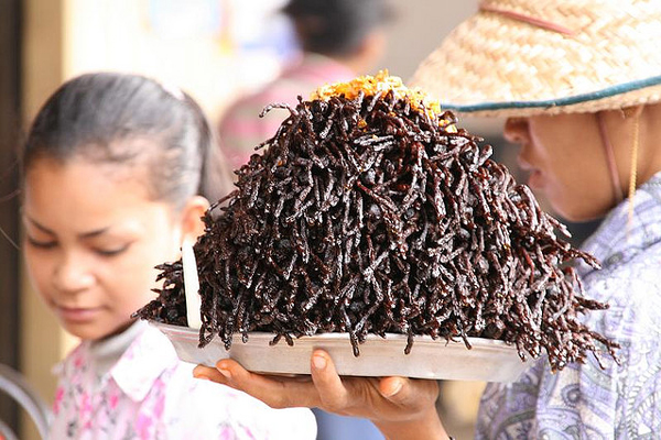 Smażone tarantule sprzedawane jako lokalny przysmak w Kambodży