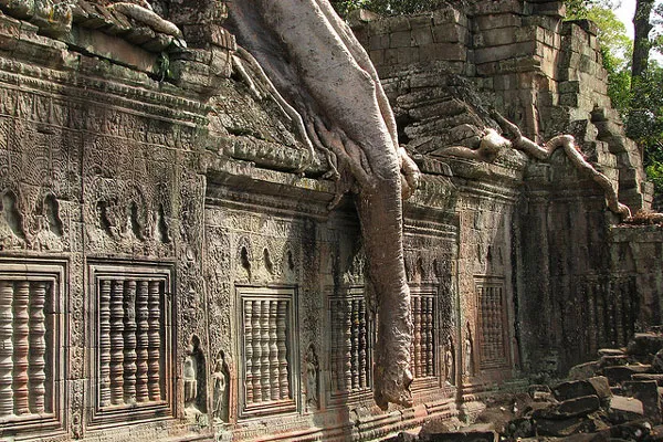 Kambodża | Potężne korzenie, niczym słoniowe trąby, zwisające nad murami Preah Khan