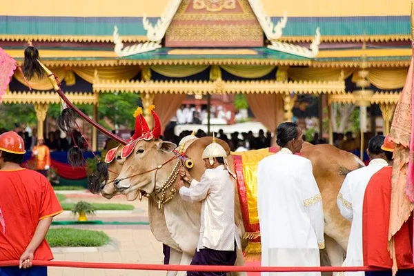 Kambodża | Główni bohaterowie corocznej ceremonii