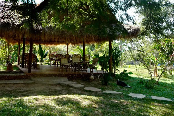 Kambodża | Urocza restauracja w Kep - idealne miejsce wypoczynku i relaksu