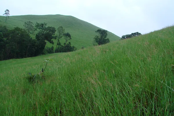 Kambodża | Park Narodowy Virachey