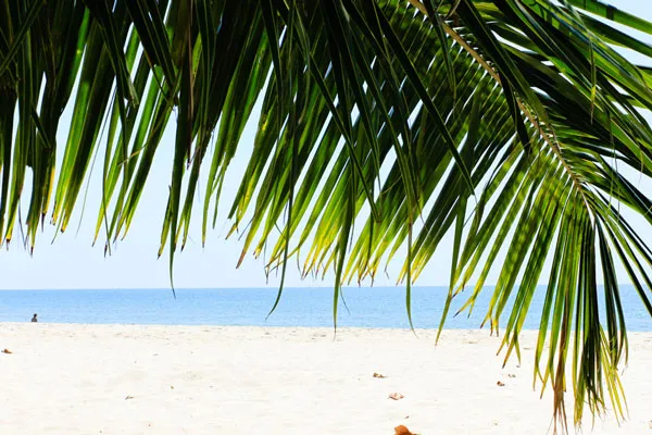 Kambodża | Tropikalna plaża z palmami kokosowymi